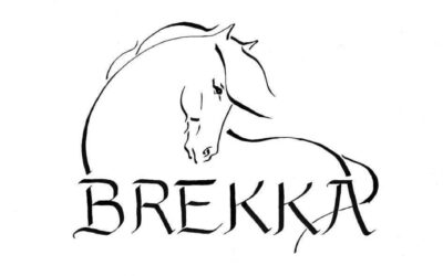 Lið Brekku