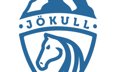 Óskað er eftir nefndarfólki í fræðslunefnd